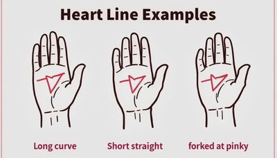 The four main lines, explained by someone who's been reading palms for 12 years – ask me anything.